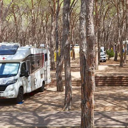 Village Baia Blu La Tortuga Campsite