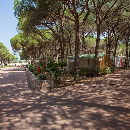 Village Baia Blu La Tortuga Campsite