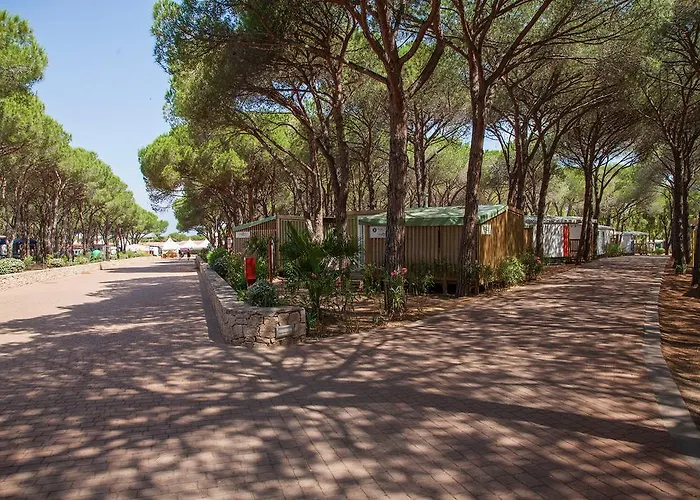 Village Baia Blu La Tortuga Κάμπινγκ